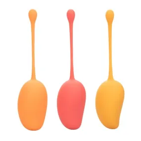 Mango Kegel Exerciser Kit